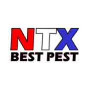 NTX Best Pest