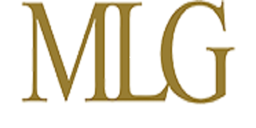 MLG Business Litigation Group