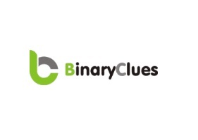 B2B Database Provider USA- Binary Clues