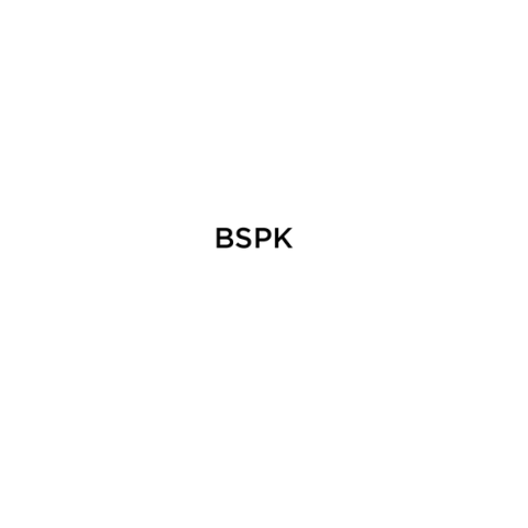 BSPK Inc