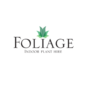 Foliage Indoor Plant Hire