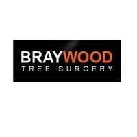 Braywood Tree Surgery Ltd