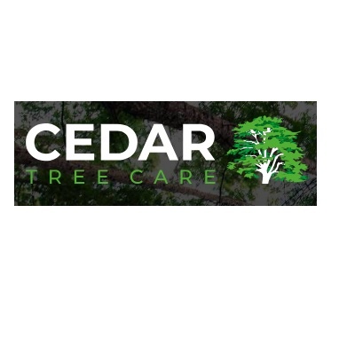 Cedar Tree Care