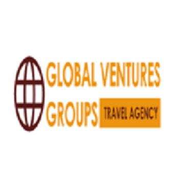 Global Venture Groups