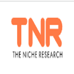 The Niche Research