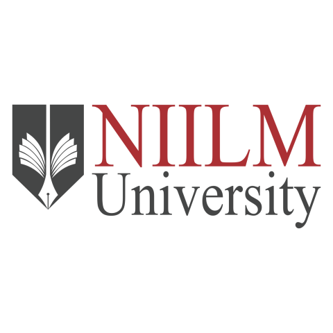 NIILM University