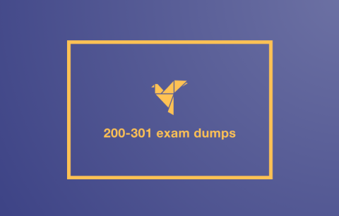 200-301 Exam Dumps