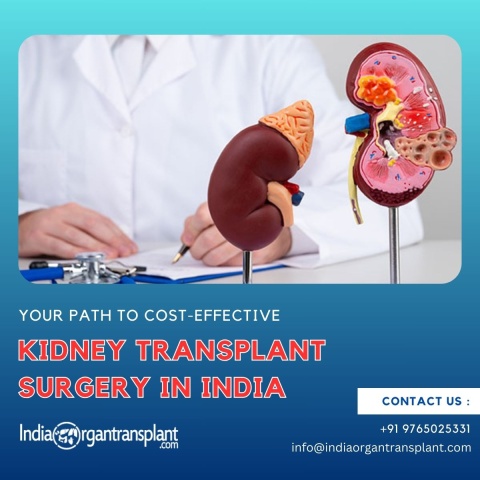 Average Cost of Kidney Transplant Surgery in India