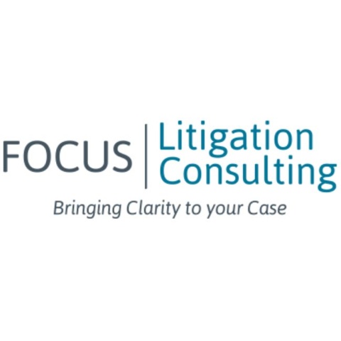 Focus Litigation Consulting LLC