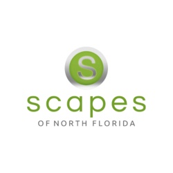 Scapes of North Florida