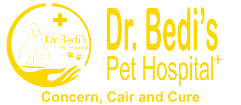 Dr. Bedi's Pet Hospital