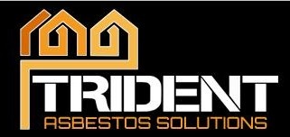 Trident Surveying Ltd