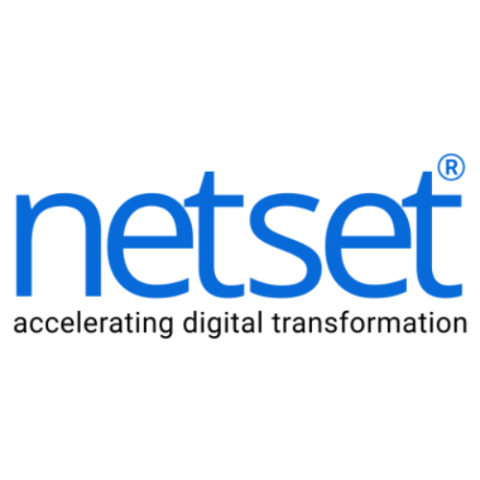 Custom Web App Development Company - Netset Software