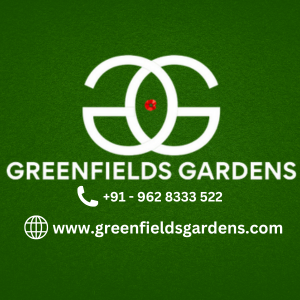 Marriage Lawn in Rajajipuram – Greenfields Gardens