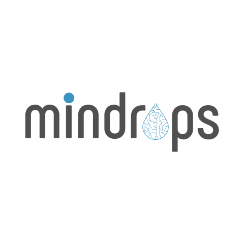 Mindrops - Web and Mobile App Development Company
