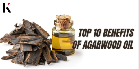 Agarwood Essential Oil Market Size, Trends, & Growth Drivers Forecast 2031