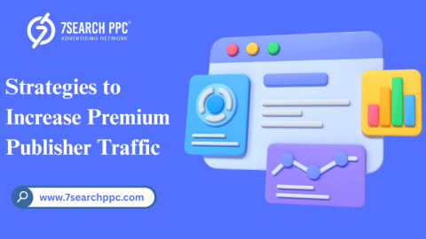 Premium Publisher Traffic