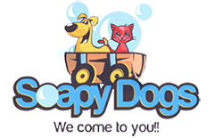 Soapy Dogs