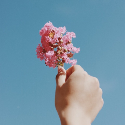 Nazila Trauma Therapy