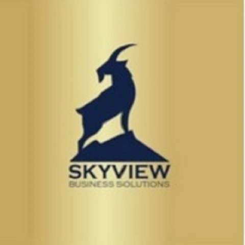 Skyview Business Solutions