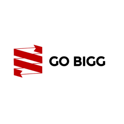 GO BIGG LTD
