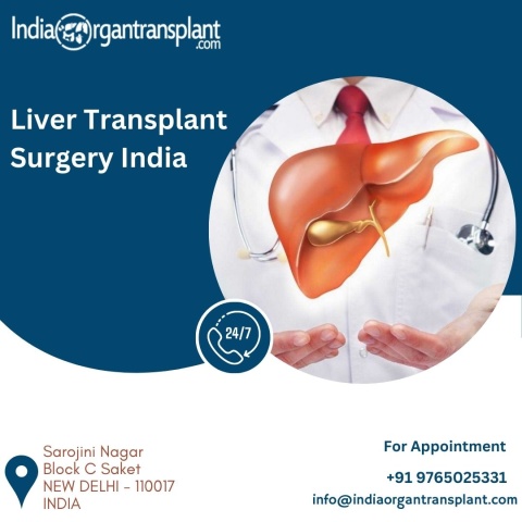 Liver Transplant Cost Estimate India