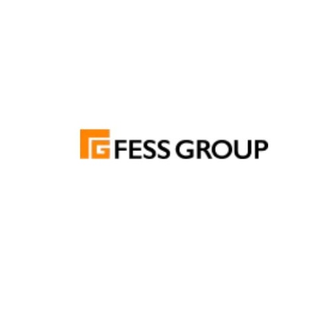 FESS Group  Ltd