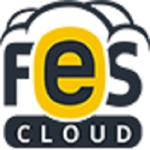 Best Managed WordPress Hosting in India-  FES Cloud