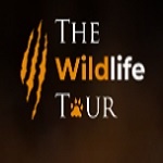 The Wildlife Tour – Expert-Led Wildlife & Photography Tours