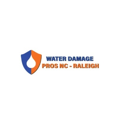 the Water Damage Pros Raleigh nc