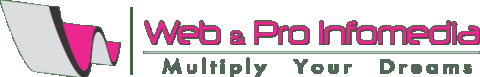 Web and Pro Infomedia