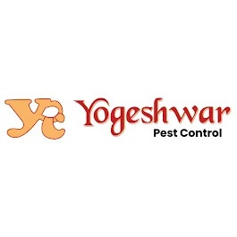 Yogeshwar Pest Control | Termite Treatment & Service Ahmedabad