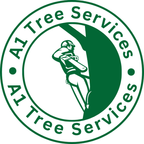 Hull Tree Surgeon