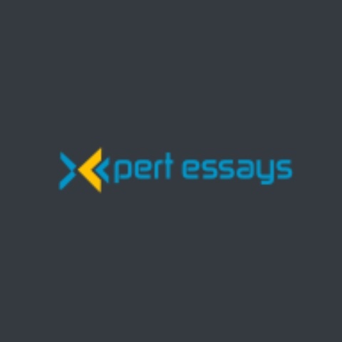 expert essays writers