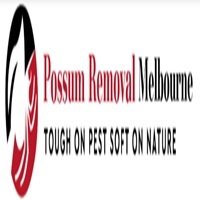 Possum Removal Melbourne