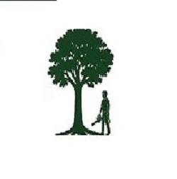 Standing Tall Tree Surgeon & Maintenance