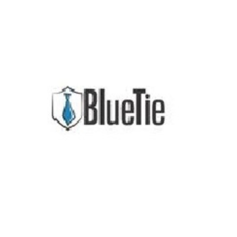 BlueTie Inc.