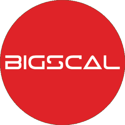 Bigscal Technologies
