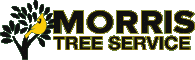 Morris Tree Service